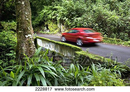 Stock Photo - Hawaii, Maui, Kipahulu, The Road To Hana.. Fotosearch