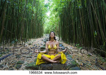 Hawaii, Maui, Kipahulu, Woman Meditating In Bamboo Forest. View Large Photo Image Picture - Hawaii, Maui, Kipahulu, Woman Meditating In Bamboo Forest.. Fotosearch
