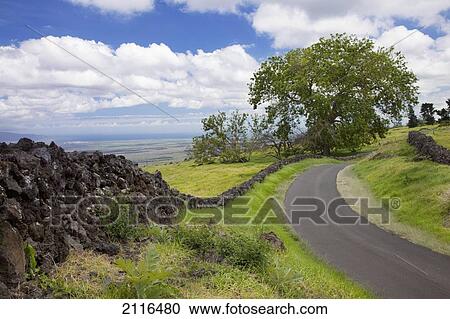 Hawaii, Maui, Kula, A stone wall lines a country road with views of Maui in the background. View Large Photo Image Stock Image - Hawaii, Maui, Kula, A stone wall lines a country road with views of Maui in the background.. Fotosearch