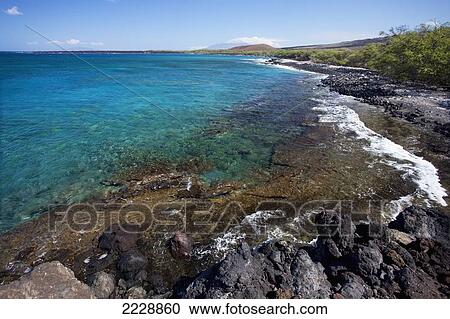 Hawaii, Maui, La Perouse Bay, A View Of La Perouse Bay From Rocky Lava Cliffs View Large Photo Image Stock Image - Hawaii, Maui, La Perouse Bay, A View Of La Perouse Bay From Rocky Lava Cliffs. Fotosearch