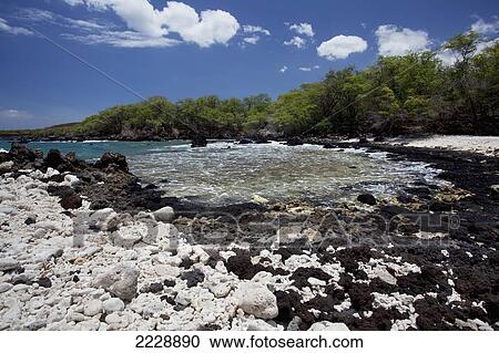 Stock Image - Hawaii, Maui, La Perouse Bay, A View Of La Perouse Bay With Lava And Coral Beach.. Fotosearch