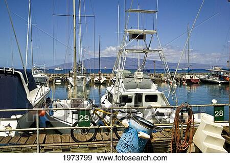 Stock Photo - Hawaii, Maui, Lahaina Harbor.. Fotosearch