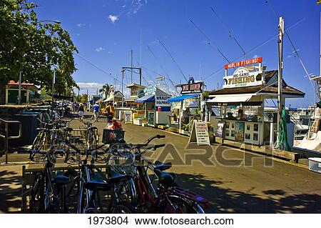 Hawaii, Maui, Lahaina Harbor With Boats Docked. View Large Photo Image Picture - Hawaii, Maui, Lahaina Harbor With Boats Docked.. Fotosearch