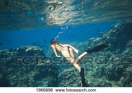 Stock Photograph - Hawaii, Maui, Laperouse Bay, Woman Snorkeling In Shallow Clear Water Over Coral Reef. Fotosearch