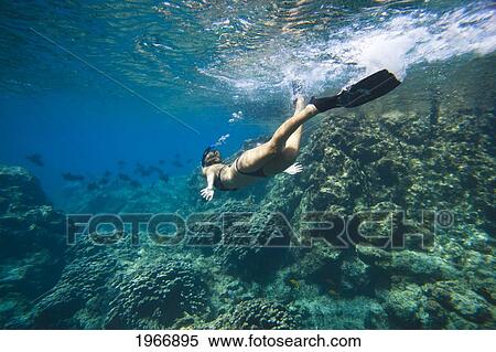 Stock Photography - Hawaii, Maui, Laperouse Bay, Woman Snorkeling In Shallow Clear Water Over Coral Reef. Fotosearch