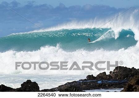 Hawaii, Maui, Laperouse, Professional Surfer Albee Layer Riding A Large Wave At Laperouse Bay. View Large Photo Image Stock Image - Hawaii, Maui, Laperouse, Professional Surfer Albee Layer Riding A Large Wave At Laperouse Bay.. Fotosearch