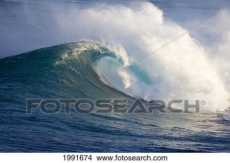 Hawaii, Maui, Large Wave Crashing At Jaws, Well Known Surf Spot View Large Photo Image Picture - Hawaii, Maui, Large Wave Crashing At Jaws, Well Known Surf Spot. Fotosearch
