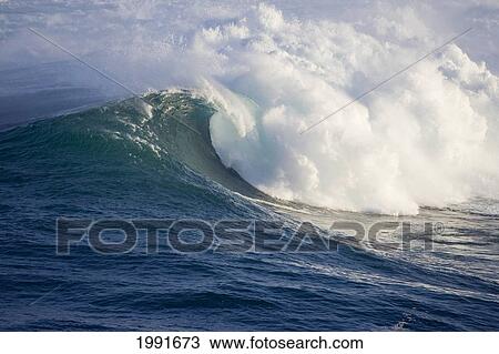 Stock Image - Hawaii, Maui, Large Wave Crashing At Jaws, Well Known Surf Spot. Fotosearch