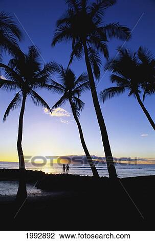 Stock Image - Hawaii, Maui, Launiupoko Park, silhouette of couple holding hands, walking along rock wall at sunset.. Fotosearch
