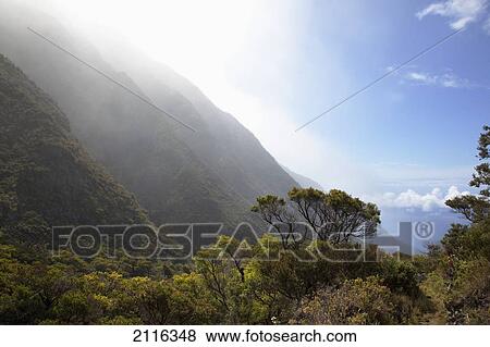 kaupo gap