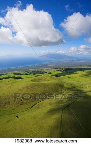 Stock Photo - Hawaii, Maui, Lush meadows of the Ulupalakua Ranch looking towards the central Maui isthmus and West Maui Mountains. Fotosearch