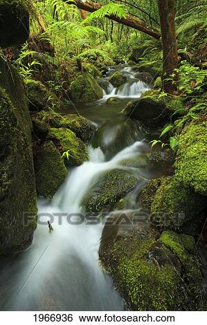 Hawaii, Maui, Lush Stream In Iao Valley View Large Photo Image Stock Photograph - Hawaii, Maui, Lush Stream In Iao Valley. Fotosearch