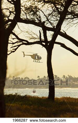 Stock Photo - Hawaii, Maui, Ma'alaea, Fire Helicopter Collecting Ocean Water To Help Put Out Wildfire, View Through Trees. Editorial Use Only.. Fotosearch