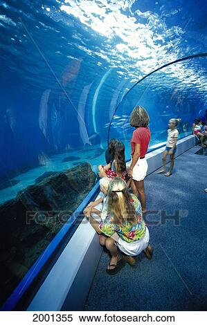 Stock Photography - Hawaii, Maui, Maalaea, Ocean Center Inside Ocean Walkway, Local People And Visitors. Fotosearch