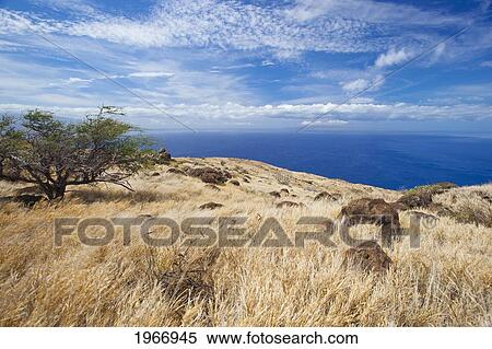 Hawaii, Maui, Ma'alaea, View Of Ocean From The Historic Ma'alaea To Lahina Pali Trail View Large Photo Image Stock Photography - Hawaii, Maui, Ma'alaea, View Of Ocean From The Historic Ma'alaea To Lahina Pali Trail. Fotosearch