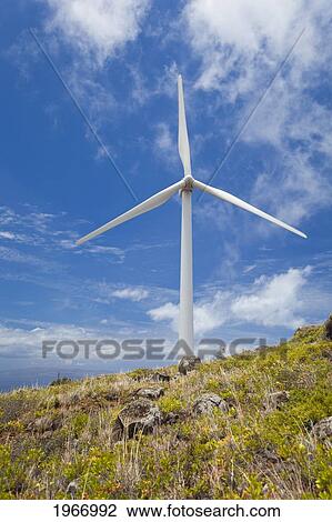 Stock Image - Hawaii, Maui, Ma'alaea, Windmill Against Blue Sky At Kaheawa Wind Power Farm. Fotosearch