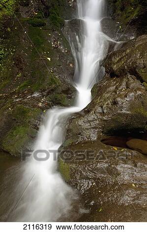 Hawaii, Maui, Makamakaole Gulch, A closeup of waterfall. View Large Photo Image Stock Photo - Hawaii, Maui, Makamakaole Gulch, A closeup of waterfall.. Fotosearch