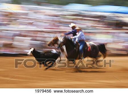 Hawaii, Maui, Makawao, Calf Roping At 4Th Of July Rodeo. View Large Photo Image Stock Photograph - Hawaii, Maui, Makawao, Calf Roping At 4Th Of July Rodeo.. Fotosearch