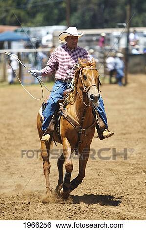 Stock Photograph - Hawaii, Maui, Makawao, Cowboy Riding In 2010 4Th Of July Makawao Rodeo. Editorial Use Only.. Fotosearch