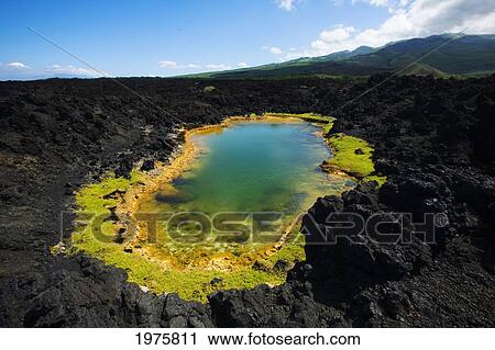 Stock Image - Hawaii, Maui, Makena, Ahihi Kinau Natural Reserve, Anchialine Pond.. Fotosearch