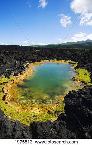 Stock Image - Hawaii, Maui, Makena, Ahihi Kinau Natural Reserve, Anchialine Pond.. Fotosearch