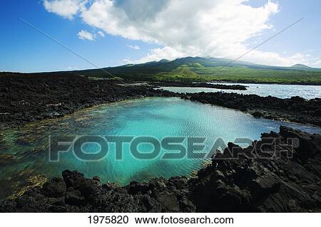 Stock Image - Hawaii, Maui, Makena, Ahihi Kinau Natural Reserve.. Fotosearch