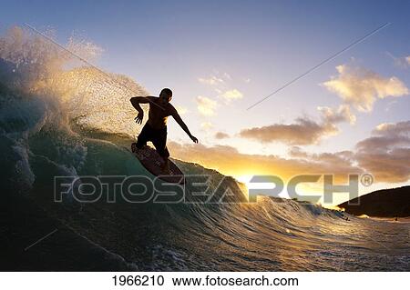 Hawaii, Maui, Makena - Big Beach, Skimboarder Carving Wave, Sunset Light. View Large Photo Image Stock Image - Hawaii, Maui, Makena - Big Beach, Skimboarder Carving Wave, Sunset Light.. Fotosearch