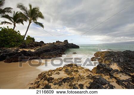 Stock Photo - Hawaii, Maui, Makena Cove, Tropical beach and palm trees.. Fotosearch