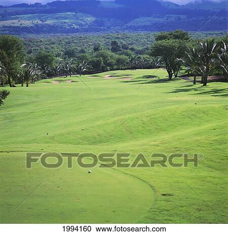Hawaii, Maui, Makena Golf Club, Rolling Green Fairway. View Large Photo Image Stock Image - Hawaii, Maui, Makena Golf Club, Rolling Green Fairway.. Fotosearch