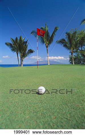 Hawaii, Maui, Makena Golf Club, Close-Up Ball On Green With Flag View Large Photo Image Stock Image - Hawaii, Maui, Makena Golf Club, Close-Up Ball On Green With Flag. Fotosearch