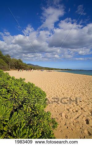 Hawaii, Maui, Makena, Oneloa Beach Or Big Beach. View Large Photo Image Stock Photo - Hawaii, Maui, Makena, Oneloa Beach Or Big Beach.. Fotosearch