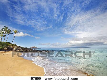 Stock Image - Hawaii, Maui, Makena, Secret Beach, Turquoise Ocean With Palm Trees And Sandy Beach.. Fotosearch