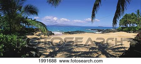 Stock Photo - Hawaii, Maui, Makena; Small Secluded Beach Palm Shadows On Sand, Rocky Shore. Fotosearch