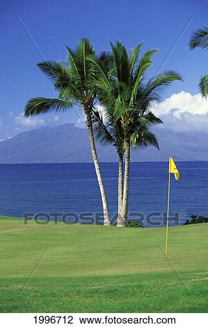 Stock Image - Hawaii, Maui, Makena South Course Hole With Yellow Flag, Palm Trees And Ocean Background. Fotosearch