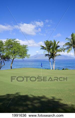 Stock Photograph - Hawaii, Maui, Makena South Golf Course, Hole #16, Putting Green Next To The Ocean.. Fotosearch