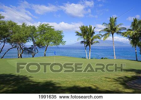 Stock Photography - Hawaii, Maui, Makena South Golf Course, Hole #16, Putting Green Next To The Ocean.. Fotosearch