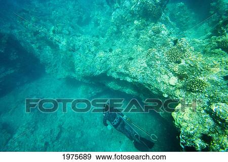 Stock Photo - Hawaii, Maui, Makena, Spearfisher A Bottom Of Ocean Exploring Reef.. Fotosearch
