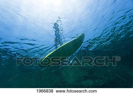 Hawaii, Maui, Makena, Stand Up Paddle Surfer, View Form Under Water View Large Photo Image Stock Photo - Hawaii, Maui, Makena, Stand Up Paddle Surfer, View Form Under Water. Fotosearch
