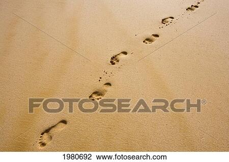 Hawaii, Maui, Makena State Park, Oneloa Or Big Beach, Footprints In The Sand. View Large Photo Image Stock Image - Hawaii, Maui, Makena State Park, Oneloa Or Big Beach, Footprints In The Sand.. Fotosearch