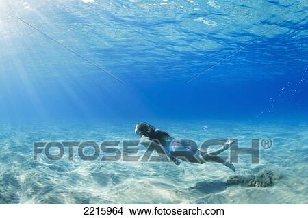 Picture - Hawaii, Maui, Makena, Young woman swimming along the ocean floor.. Fotosearch