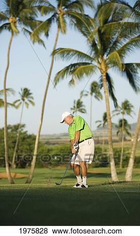 Stock Photo - Hawaii, Maui, Male Golfer Swinging Golf Club At The Maui Country Club Course.. Fotosearch