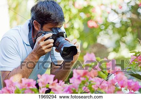 Picture - Hawaii, Maui, Male Photographer Taking Pictures Of Bougianvilleas.. Fotosearch