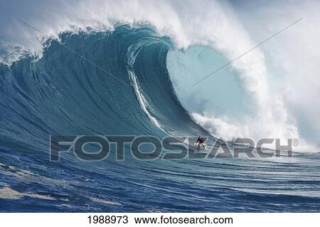 Hawaii, Maui, Mark Anderson Surfs 50 Foot Wave At Jaws Aka Peahi. View Large Photo Image Stock Image - Hawaii, Maui, Mark Anderson Surfs 50 Foot Wave At Jaws Aka Peahi.. Fotosearch