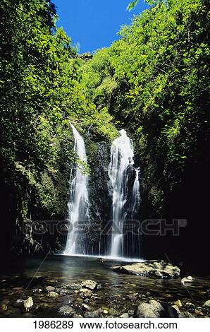 Stock Photo - Hawaii, Maui, Mokumokuele Valley, Waterfalls And River Amid Rainforest.. Fotosearch