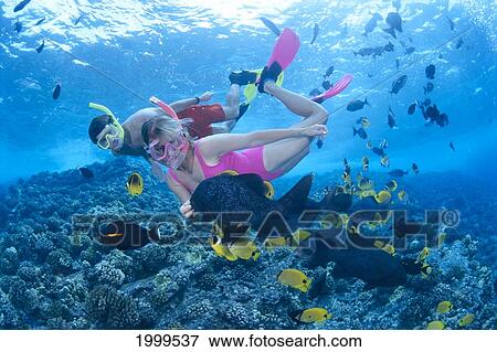 Stock Photo - Hawaii, Maui, Molokini, Couple Snorkeling Over Shallow Reef With Tropical Fish. Fotosearch