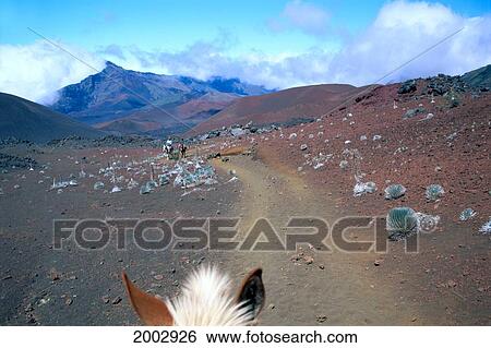 Hawaii, Maui, Mule Ride Into Haleakala Crater, View From Atop Mule, Silverswords View Large Photo Image Stock Photograph - Hawaii, Maui, Mule Ride Into Haleakala Crater, View From Atop Mule, Silverswords. Fotosearch