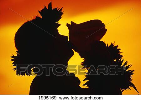 Stock Photo - Hawaii, Maui, Napili, Silhouette Of Man Blowing Conch Shell At Sunset, Fiery Orange Sky.. Fotosearch