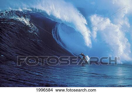 Picture - Hawaii, Maui, North Shore, Buzzy Kerbox Surfs Huge Wave Crashing Behind Peahi Aka Jaws. Fotosearch