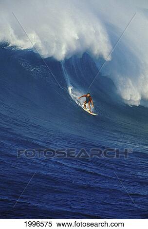 Stock Photography - Hawaii, Maui, North Shore, Buzzy Kerbox Surfs Large Curling Wave, Jaws Aka Peahi. Fotosearch