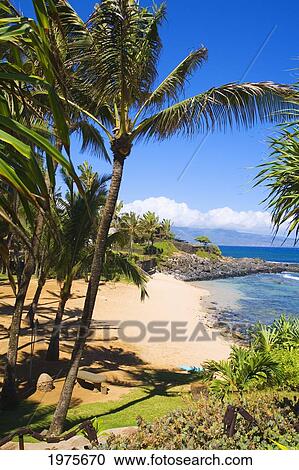 Stock Image - Hawaii, Maui, Northern Coast, Overlooking Kuau Cove From Mama's Fish House.. Fotosearch